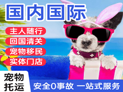 白塔航空运输国际宠物托运 【国